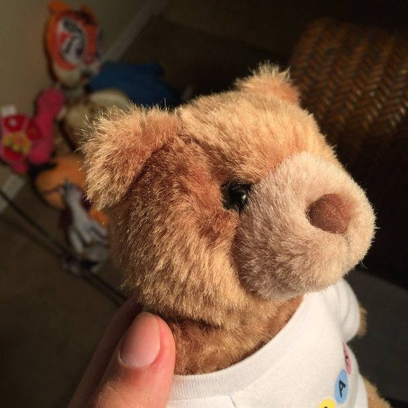 I Care Bear Plush - Picture 5 of 5